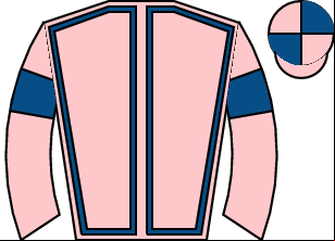 Horse silk