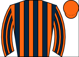 Horse silk