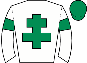 Horse silk