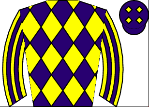 Horse silk