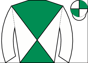 Horse silk