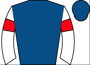 Horse silk