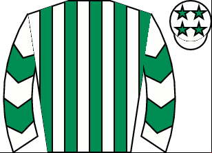 Horse silk