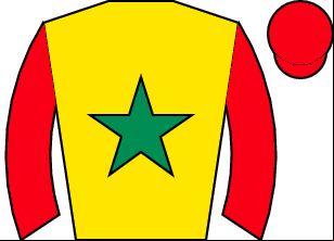 Horse silk
