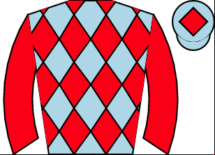 Horse silk