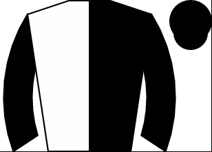 Horse silk