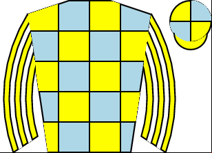 Horse silk