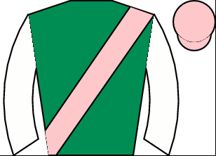 Horse silk
