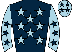 Horse silk