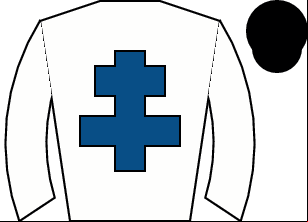 Horse silk