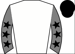 Horse silk