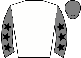 Horse silk