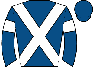 Horse silk