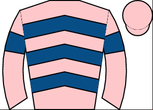 Horse silk