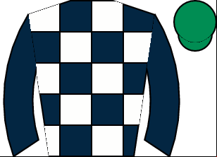 Horse silk