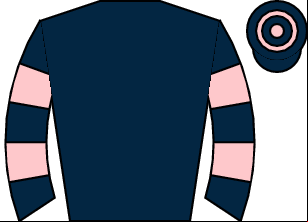 Horse silk