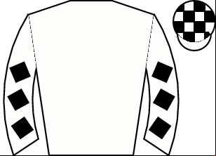 Horse silk