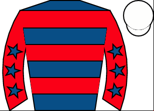 Horse silk