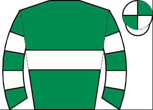 Horse silk