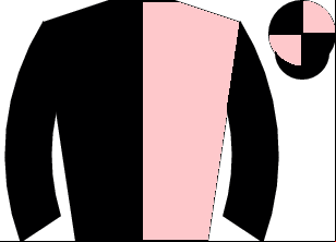 Horse silk