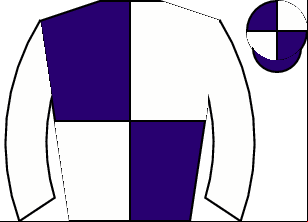 Horse silk