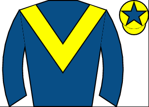 Horse silk