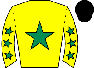Horse silk