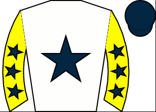 Horse silk