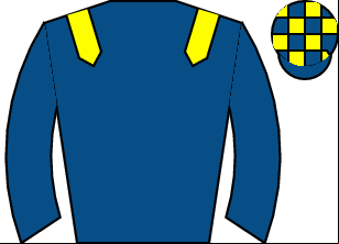 Horse silk