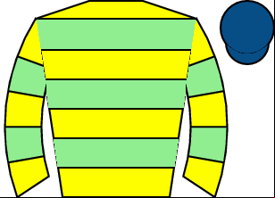 Horse silk