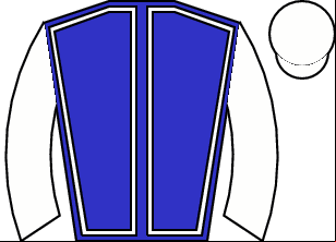 Horse silk