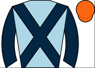Horse silk