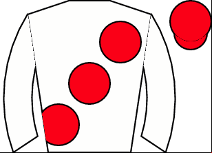 Horse silk