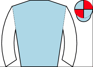 Horse silk