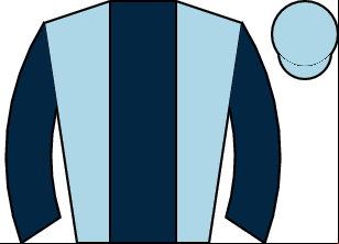 Horse silk