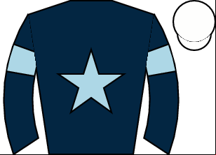 Horse silk