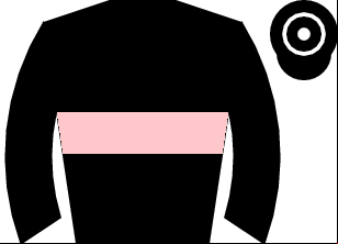 Horse silk
