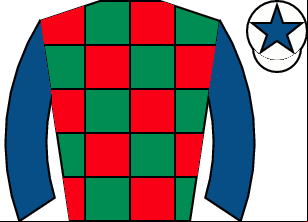 Horse silk
