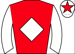Horse silk