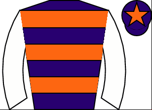 Horse silk