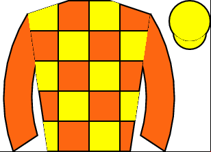 Horse silk
