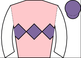 Horse silk