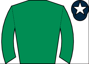 Horse silk