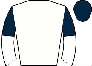 Horse silk