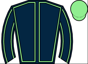 Horse silk