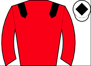 Horse silk