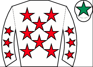 Horse silk