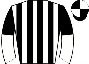 Horse silk