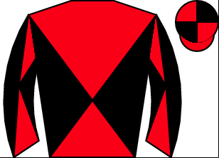 Horse silk