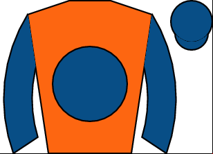 Horse silk